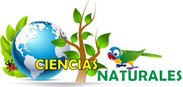 Ciencias Naturales Tercero (A)